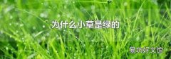 为什么小草是绿的