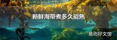新鲜海带煮多久能熟