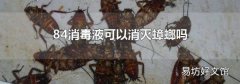 84消毒液可以消灭蟑螂吗