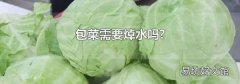 包菜需要焯水吗?