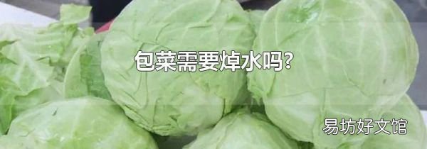 包菜需要焯水吗?