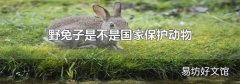 野兔子是不是国家保护动物