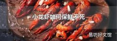 小龙虾如何保鲜不死