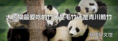 大熊猫最爱吃的竹子是毛竹还是青川箭竹