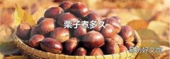 栗子煮多久