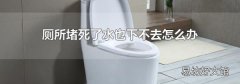 厕所堵死了水也下不去怎么办