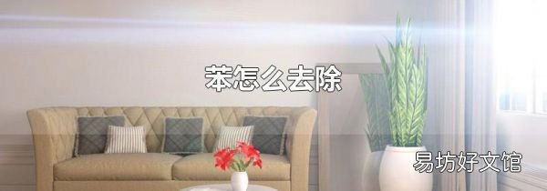 苯怎么去除