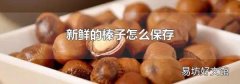 新鲜的榛子怎么保存