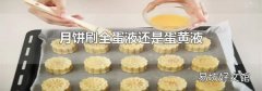 月饼刷全蛋液还是蛋黄液