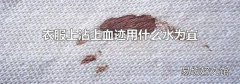 衣服上沾上血迹用什么水为宜
