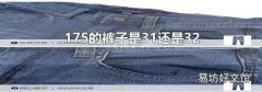 175的裤子是31还是32