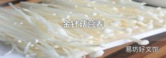 金针菇营养
