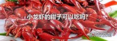 小龙虾的钳子可以吃吗?