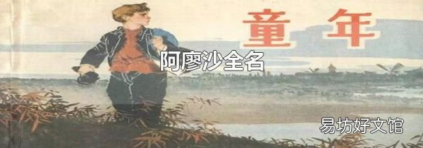 阿廖沙全名