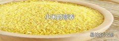 小米的营养