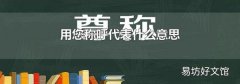 用您称呼代表什么意思