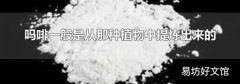嗎啡一般是從那種植物中提煉出來的