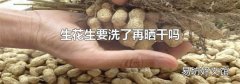 生花生要洗了再晒干吗