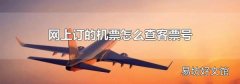 网上订的机票怎么查客票号