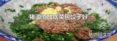 猪油渣放啥菜包饺子好
