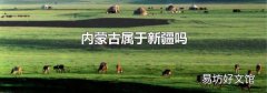 内蒙古属于新疆吗
