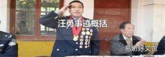 汪勇事迹概括
