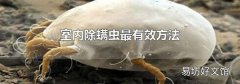 室内除螨虫最有效方法