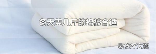 冬天盖几斤的棉被合适