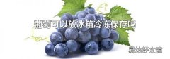 葡萄可以放冰箱冷冻保存吗