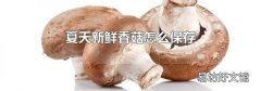 夏天新鲜香菇怎么保存