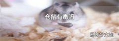 仓鼠有毒吗