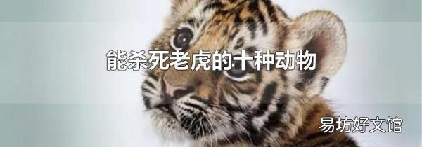 能杀死老虎的十种动物