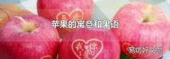 苹果的寓意和果语