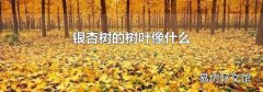 银杏树的树叶像什么