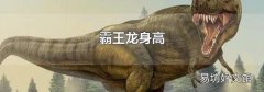 霸王龙身高