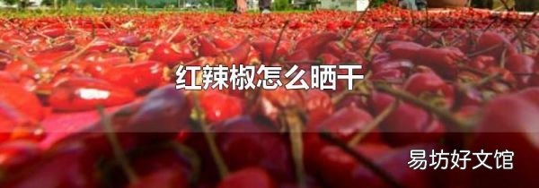 红辣椒怎么晒干