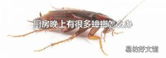 厨房晚上有很多蟑螂怎么办