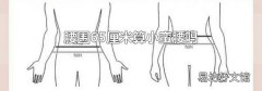腰围65厘米算小蛮腰吗