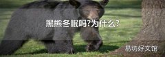 黑熊冬眠嗎?為什么?