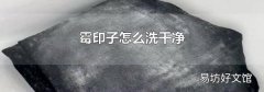 霉印子怎么洗干净