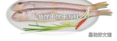 鱼属不属于海鲜
