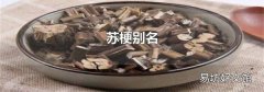 苏梗别名