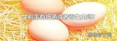 生鸡蛋有细菌或者寄生虫吗?