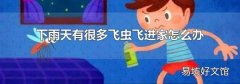 下雨天有很多飞虫飞进家怎么办