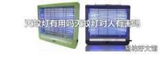 灭蚊灯有用吗灭蚊灯对人有害吗