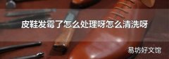 皮鞋发霉了怎么处理呀怎么清洗呀