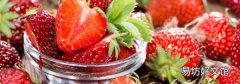经期草莓可以吃吗