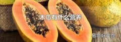 木瓜有什么营养