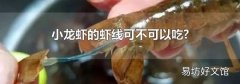 小龙虾的虾线可不可以吃?