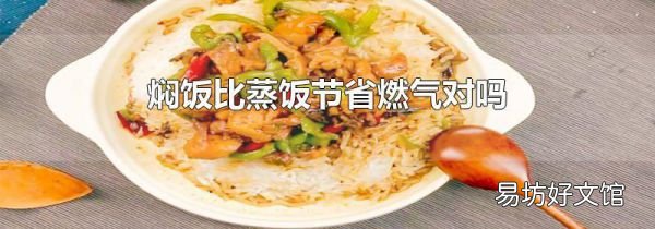 焖饭比蒸饭节省燃气对吗